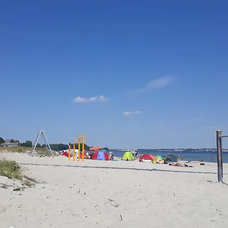 Wetterfrosch Schausende