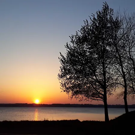 Apartament Wetterfrosch