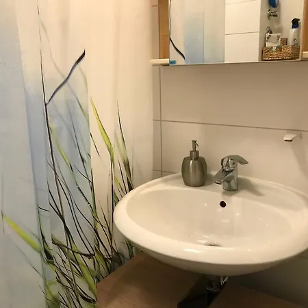 Wetterfrosch * Schausende