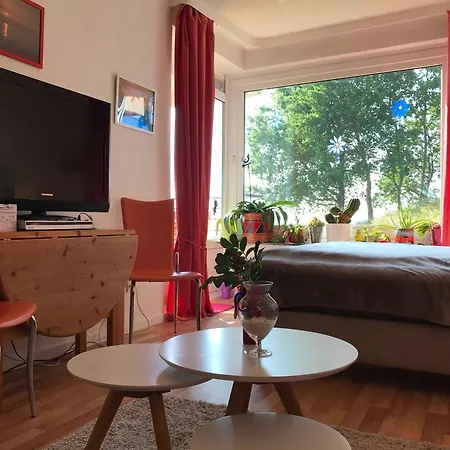 Wetterfrosch Schausende